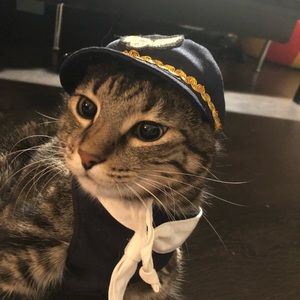 Meet your Posher, Zehua